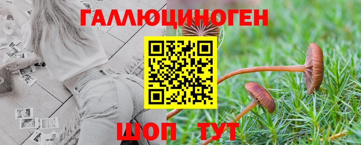 купить наркотик  Псилоцибиновые грибы прущие грибы  Вход с VPN  Сланцы 